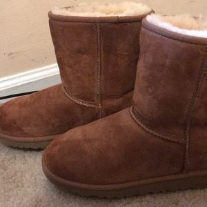 Authentic SHORT CHESTNUT UGGS